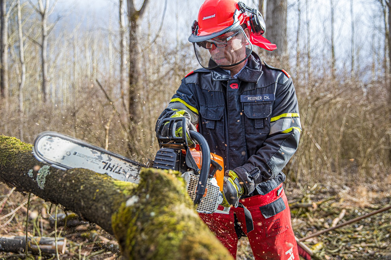 Les réglementations sur l’abattage d’arbre en France