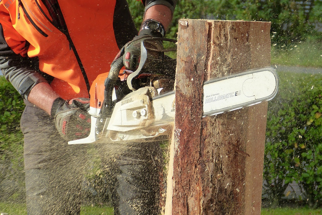 Comment déterminer si un arbre est dangereux ?